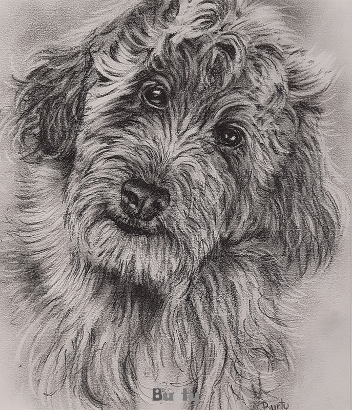 Burty-kunst-en-inlijsterij-portret-hond