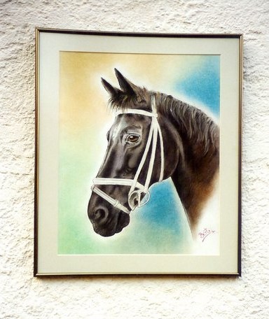 Burty - kunst en inlijsterij - portret paard