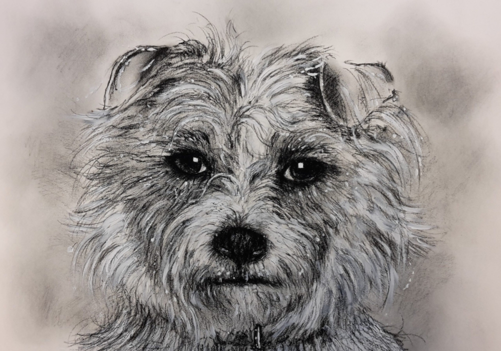 Burty - kunst en inlijsterij - portret hond